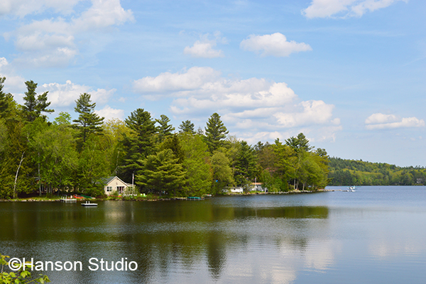 George's Mills, NH - Otter Pond with Plane - Summer